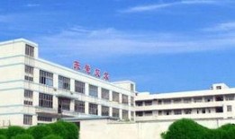 厂东东莞塘厦新闻爆料,突发事件引发关注，最新进展揭晓