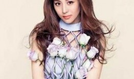 张佳慧爆料男明星视频,真相与争议并存